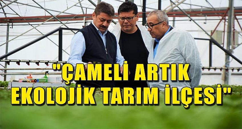 "ÇAMELİ ARTIK EKOLOJİK TARIM İLÇESİ"