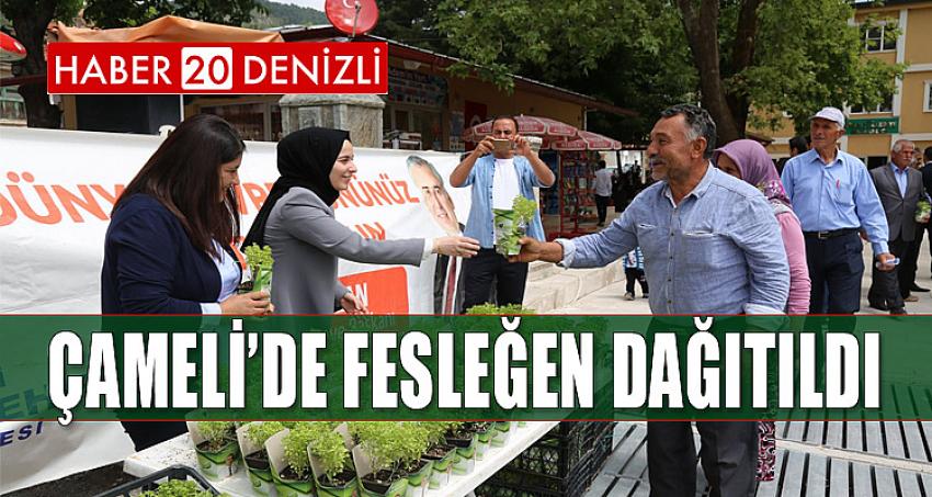 ÇAMELİ'DE FESLEĞEN DAĞITILDI