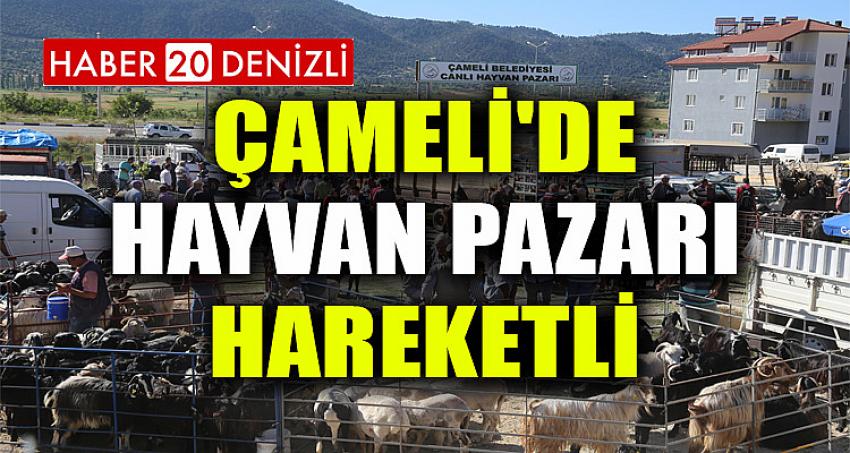 Çameli'de Hayvan Pazarı Hareketli