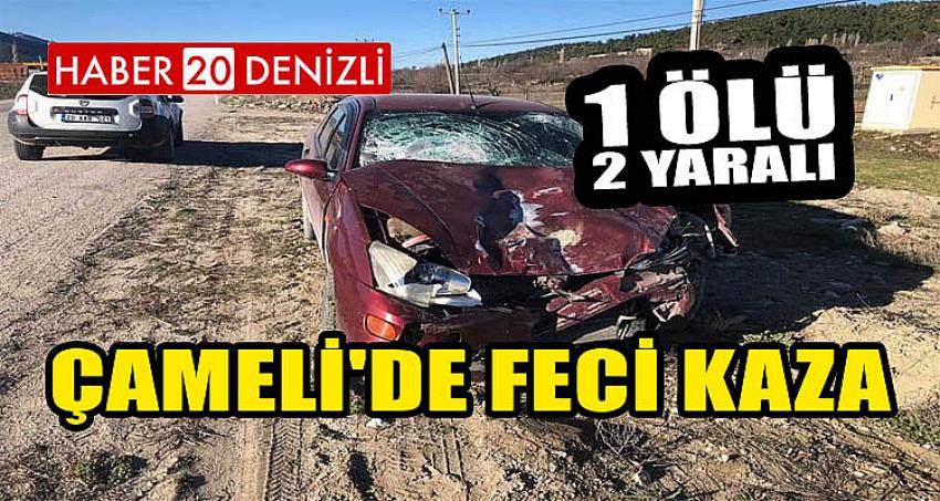 ÇAMELİ'DE FECİ KAZA