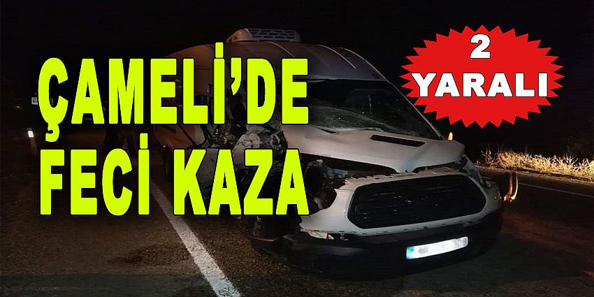 ÇAMELİ'DE FECİ KAZA: 2 YARALI