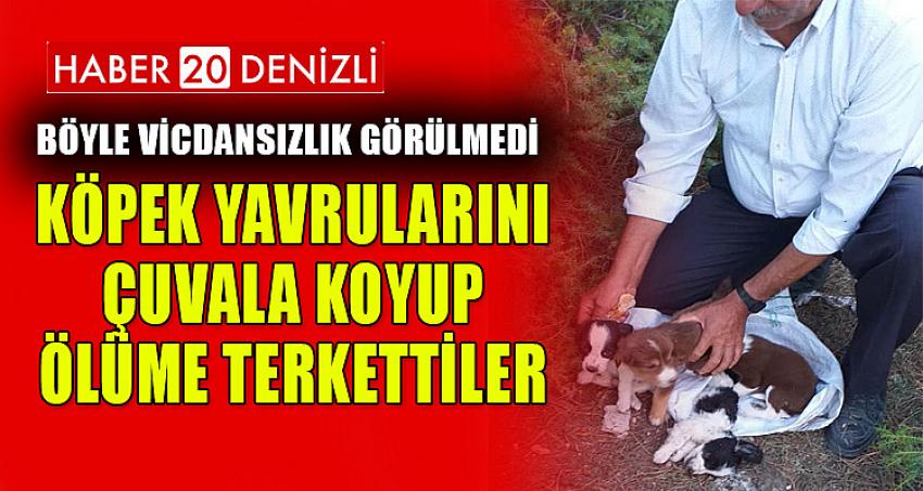 Köpek yavrularını çuvala koyup ölüme terk ettiler