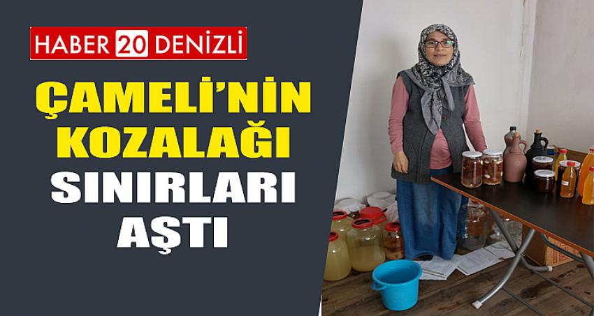 ÇAMELİ’NİN KOZALAĞI SINIRLARI AŞTI