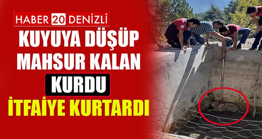 Kuyuya düşüp mahsur kalan kurdu itfaiye kurtardı