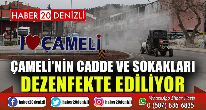 Çameli'nin Cadde ve Sokakları Dezenfekte Ediliyor