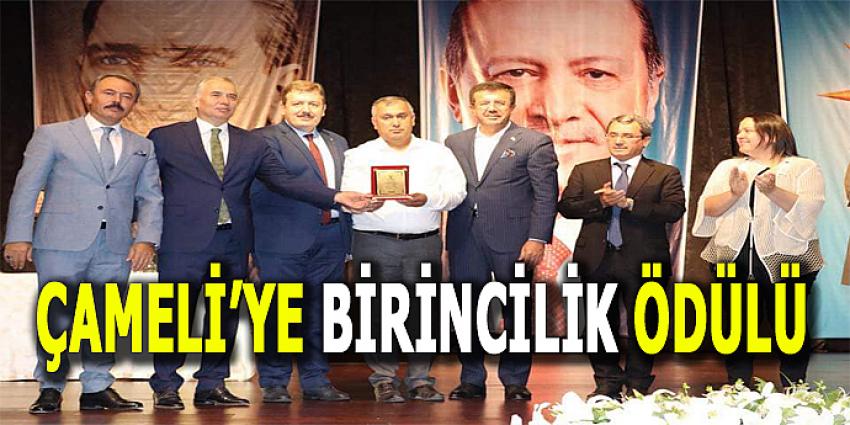 ÇAMELİ’YE BİRİNCİLİK ÖDÜLÜ