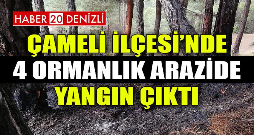 Çameli'de 4 Ormanlık Arazide Yangın Çıktı