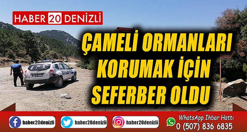 Çameli ormanları korumak için seferber oldu