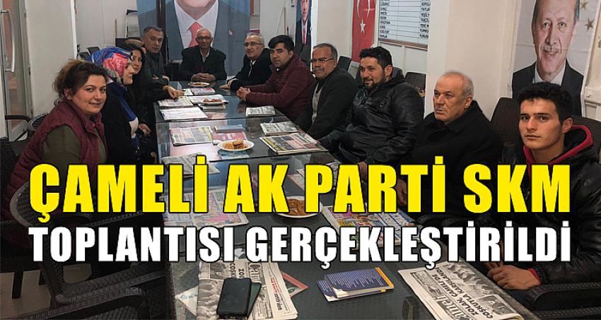 Çameli AK Parti SKM Toplantısı Gerçekleştirildi