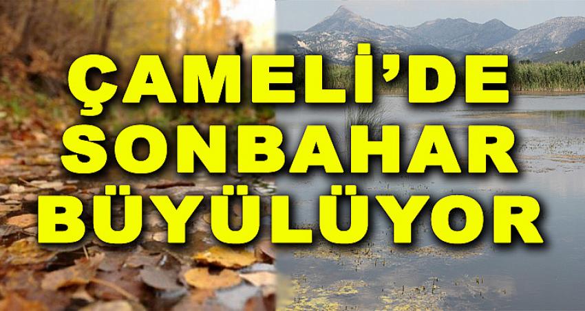 Çameli'de Sonbahar Büyülüyor...