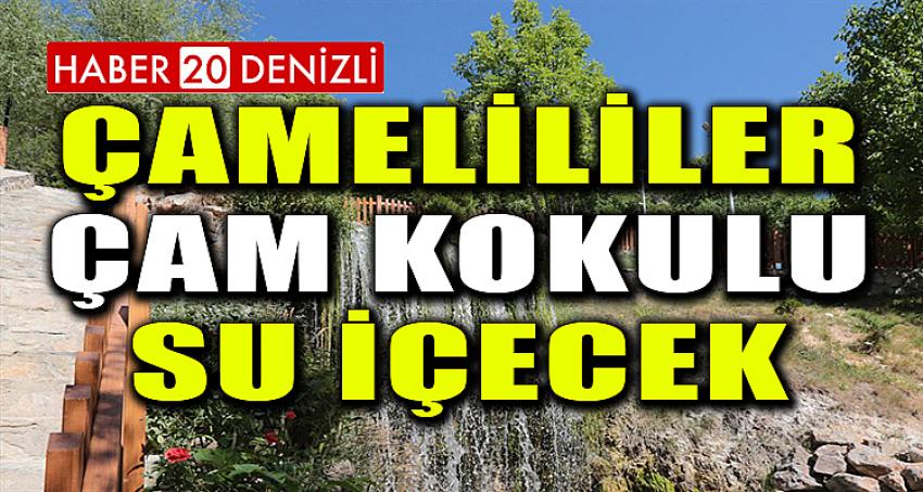 ÇAMELİLİLER ÇAM KOKULU SU İÇECEK