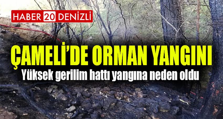 Yüksek gerilim hattı yangına neden oldu 