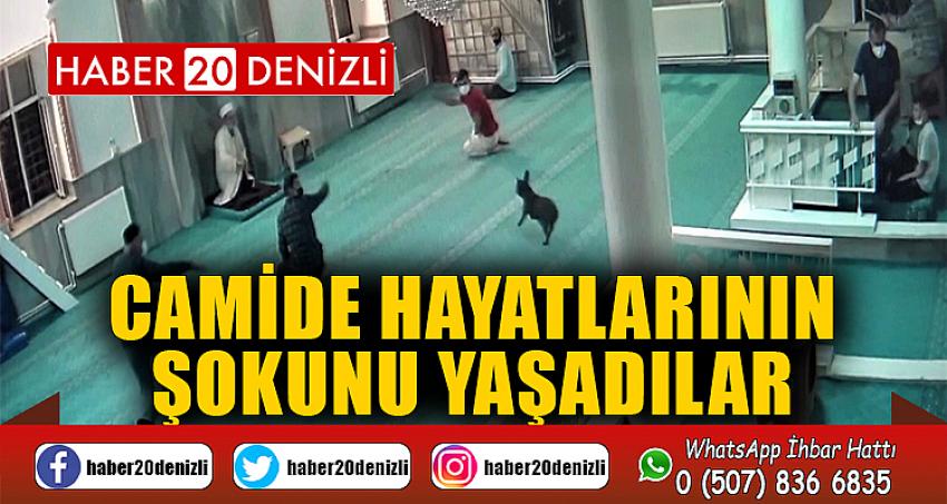 Camide hayatlarının şokunu yaşadılar