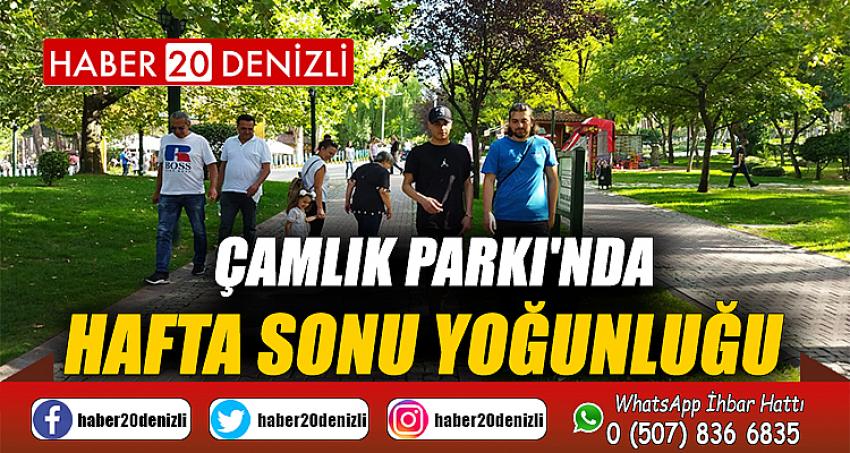 Çamlık Parkı'nda hafta sonu yoğunluğu