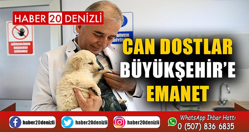 Can dostlar Büyükşehir’e emanet