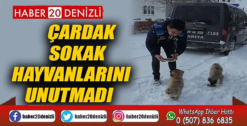 ÇARDAK SOKAK HAYVANLARINI UNUTMADI