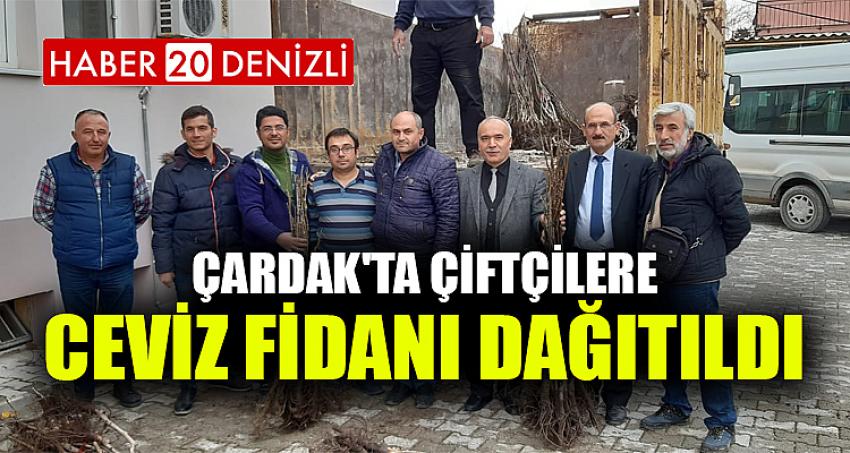 Çardak'ta Çiftçilere Ceviz Fidanı Dağıtıldı