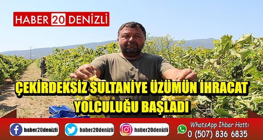 Çekirdeksiz Sultaniye üzümün ihracat yolculuğu başladı