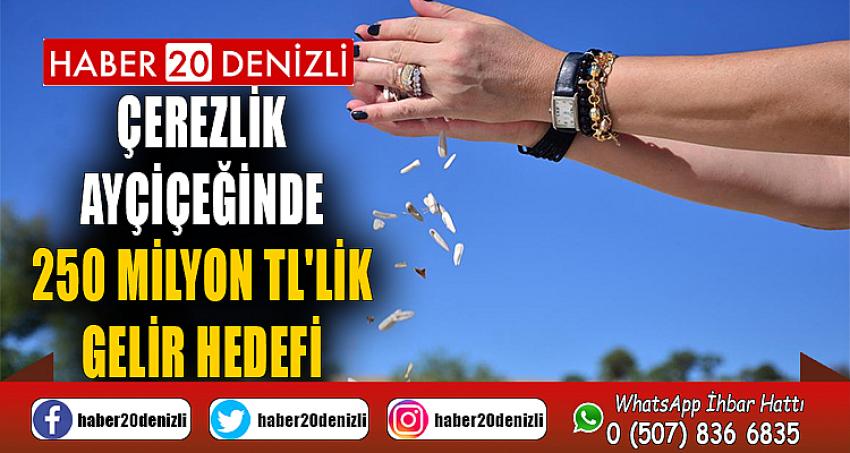 Çerezlik ayçiçeğinde 250 milyon TL'lik gelir hedefi