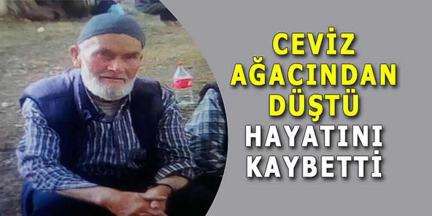 CEVİZ AĞACINDAN DÜŞTÜ HAYATINI KAYBETTİ