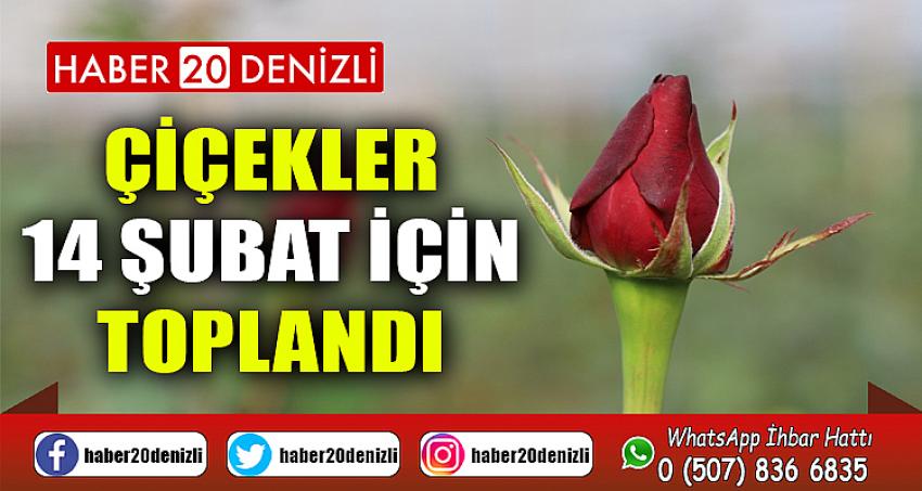 Çiçekler, 14 Şubat için toplandı