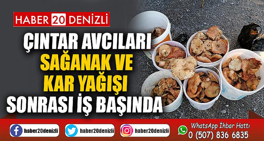 Çıntar avcıları sağanak ve kar yağışı sonrası iş başında