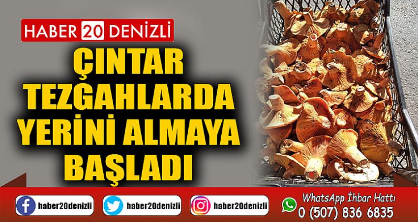 Çıntar tezgahlarda yerini almaya başladı