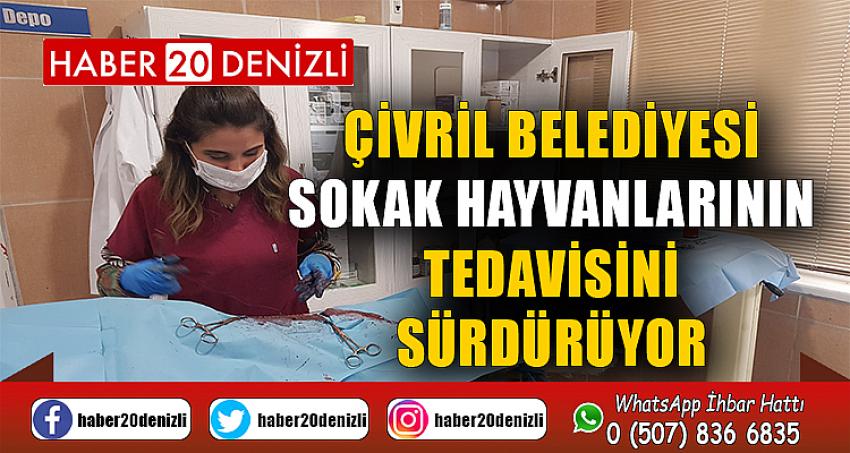 ÇİVRİL BELEDİYESİ SOKAK HAYVANLARININ TEDAVİSİNİ SÜRDÜRÜYOR