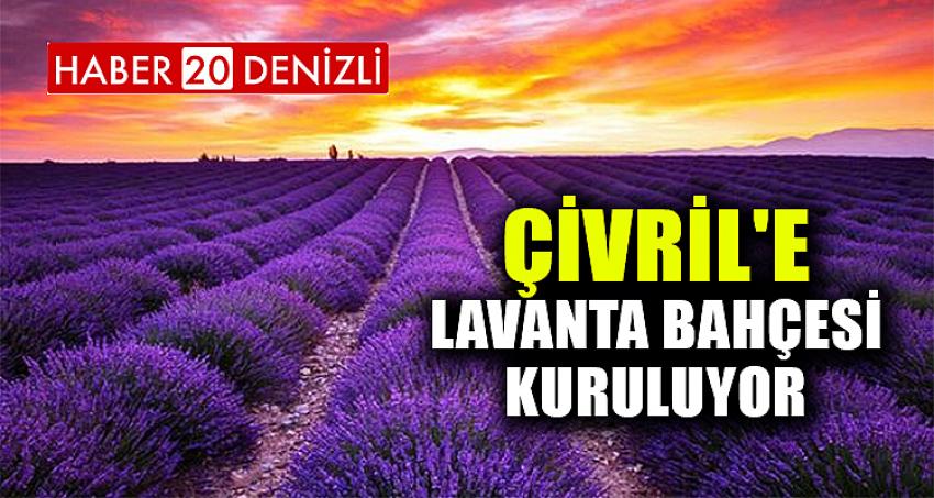 ÇİVRİL'E LAVANTA BAHÇESİ KURULUYOR