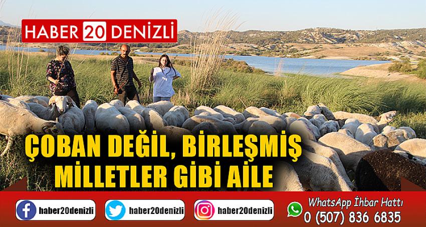 Çoban değil, Birleşmiş Milletler gibi aile