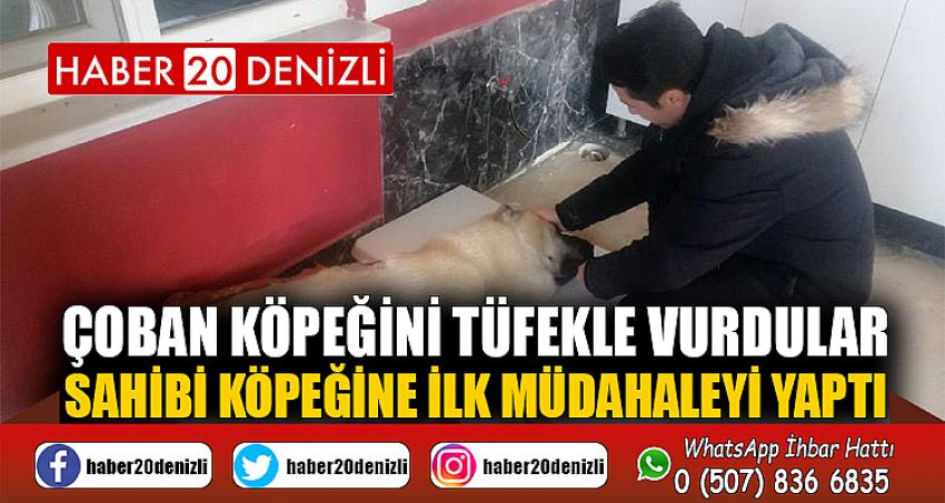 Çoban köpeğini tüfekle vurdular, sahibi köpeğine ilk müdahaleyi yaptı