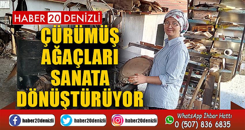 Çürümüş ağaçları sanata dönüştürüyor