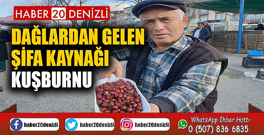 Dağlardan gelen şifa kaynağı; Kuşburnu