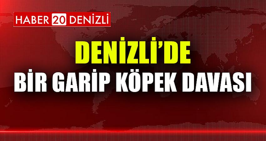 Denizli’de bir garip köpek davası