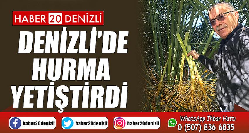 Denizli’de hurma yetiştirdi