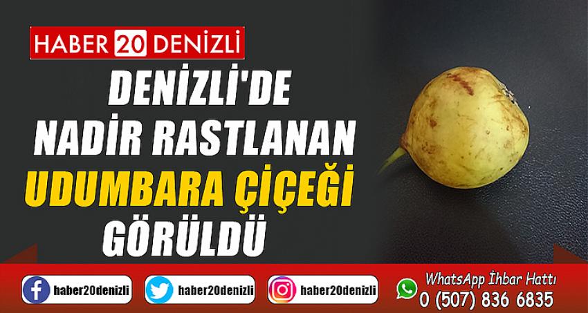 Denizli'de nadir rastlanan Udumbara çiçeği görüldü