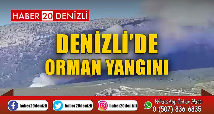 Denizli’de orman yangını