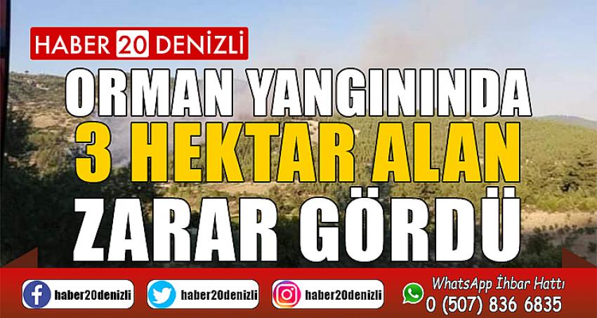 Denizli’de orman yangınında 3 hektar alan zarar gördü