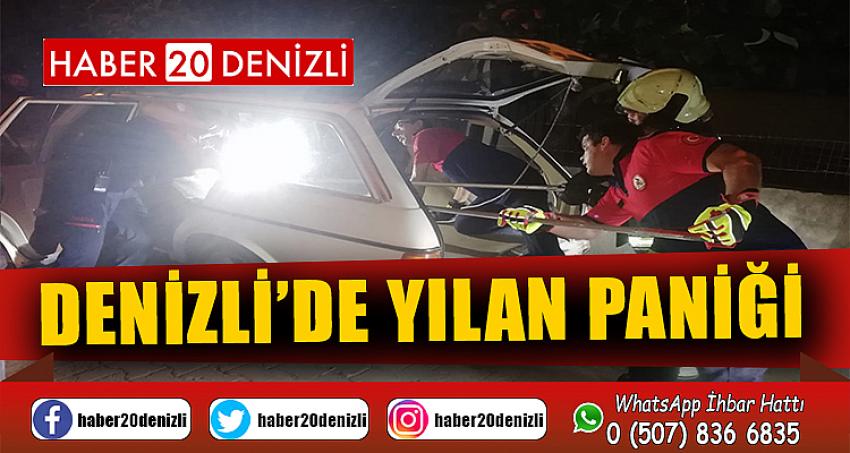 Denizli’de otomobil bagajında yılan paniği