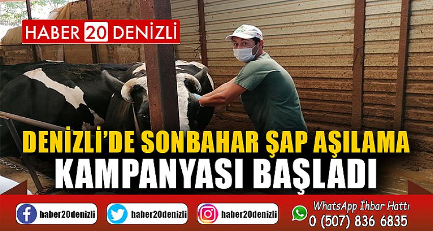 Denizli’de sonbahar şap aşılama kampanyası başladı