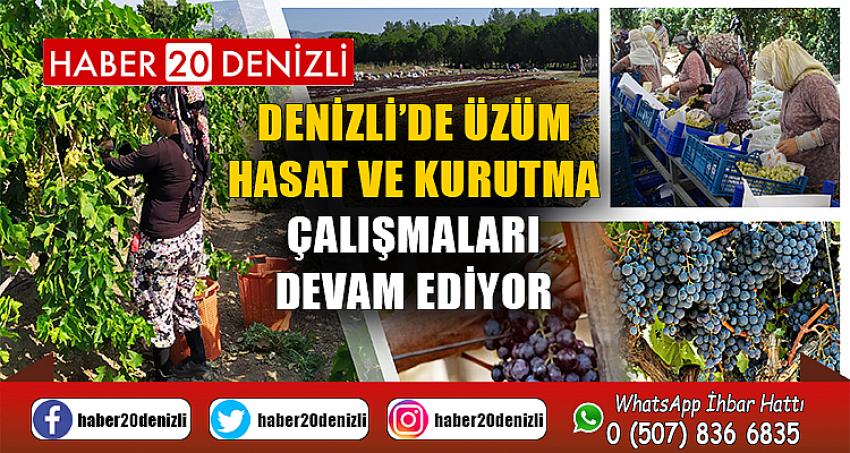 Denizli’de Üzüm Hasat ve Kurutma Çalışmaları Devam Ediyor