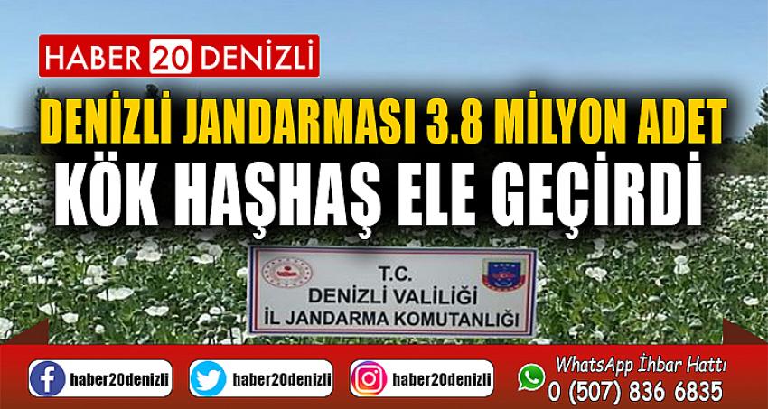  Denizli jandarması 3.8 milyon adet kök haşhaş ele geçirdi