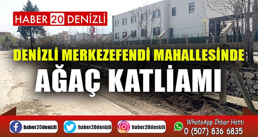 DENİZLİ MERKEZEFENDİ MAHALLESİNDE AĞAÇ KATLİAMI