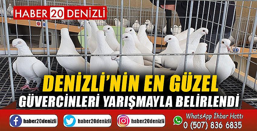 Denizli’nin en güzel güvercinleri yarışmayla belirlendi