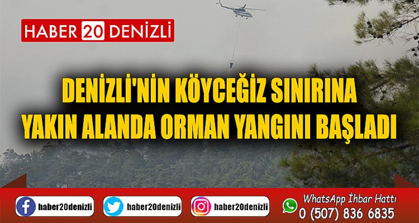 Denizli'nin Köyceğiz sınırına yakın alanda orman yangını başladı