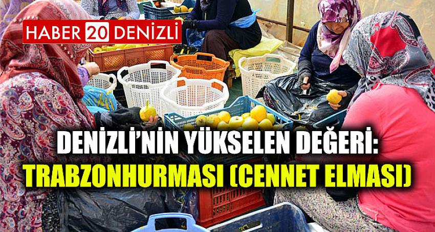 Denizli’nin Yükselen Değeri: Trabzonhurması(Cennet Elması)