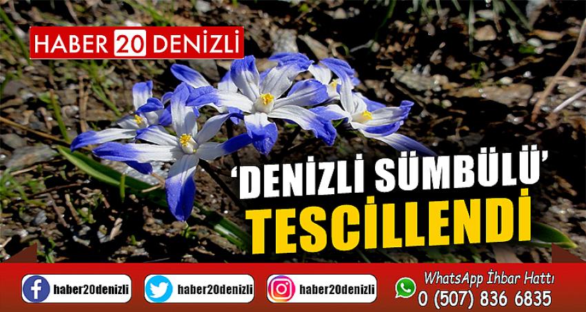 8 yıl önce keşfedilen ‘Denizli sümbülü’ tescillendi