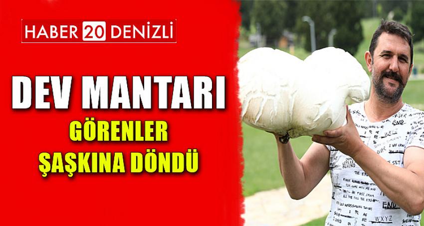 DEV MANTARI GÖRENLER ŞAŞKINA DÖNDÜ