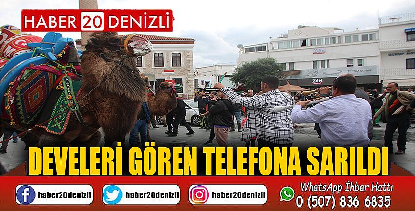 Develeri gören telefona sarıldı