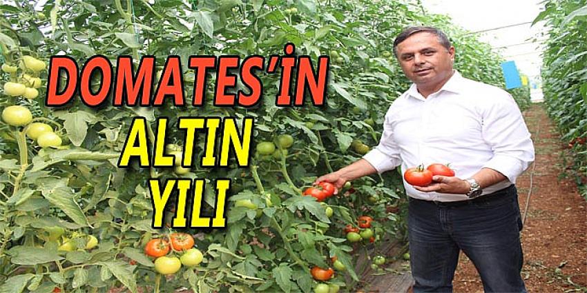 DOMATES'İN ALTIN YILI